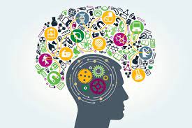 رمزگشایی از کارنامه آزمون قلم چی؛ چگونه تراز خود را بالا ببریم؟