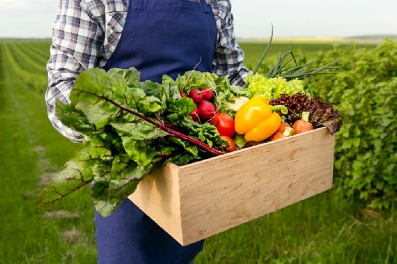 علم و مهندسی خاک: پایه کشاورزی پایدار 🌱 | انتخاب رشته سراسری