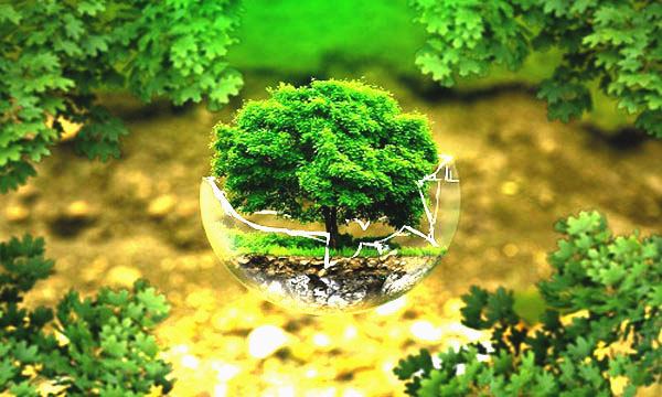 ✅ مهندسی منابع طبیعی – چوب و کاغذ 🌳📄