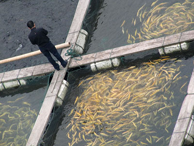 ✅ مهندسی منابع طبیعی – شیلات 🎣🐟